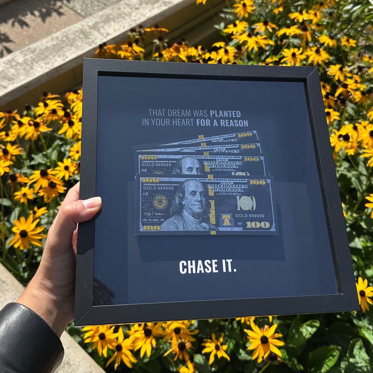 Chase It — Black USD Edition